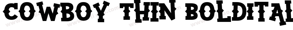 Cowboy Thin BoldItalic字体转换
